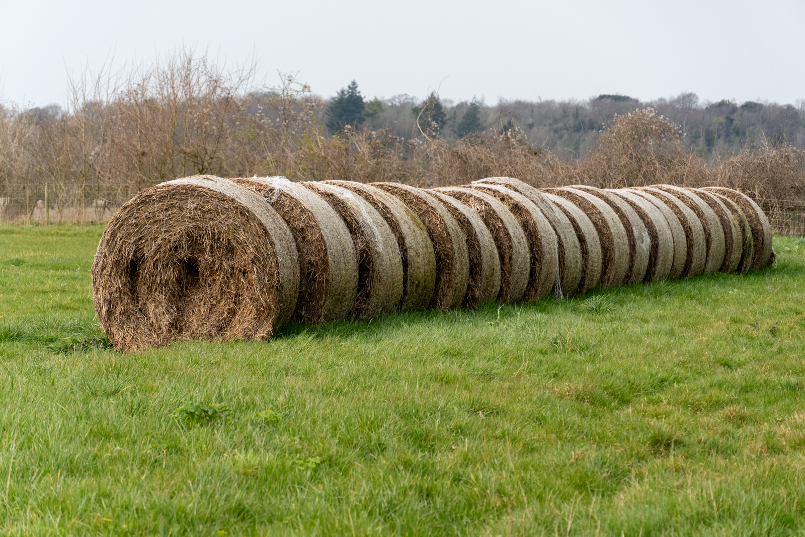 Photography by Chris Allington